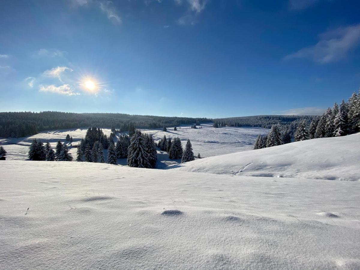 Vila Jachymov Bagian luar foto
